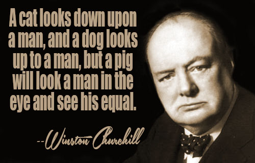 Winston Churchill quote